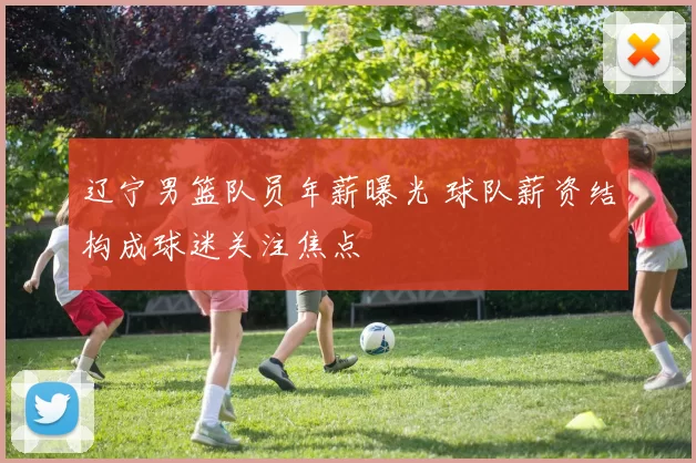 辽宁男篮队员年薪曝光 球队薪资结构成球迷关注焦点