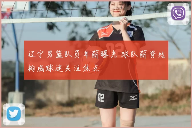 辽宁男篮队员年薪曝光 球队薪资结构成球迷关注焦点