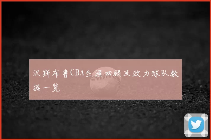 汉斯布鲁CBA生涯回顾及效力球队数据一览