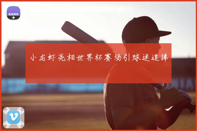 小龙虾亮相世界杯赛场引球迷追捧