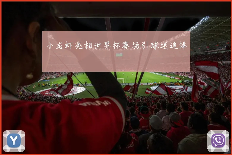 小龙虾亮相世界杯赛场引球迷追捧